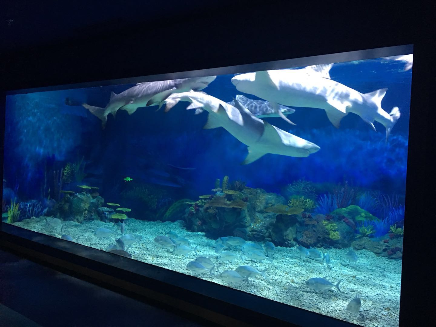 亚克力鱼缸-大型鱼缸定制-海洋馆鱼缸制作-水族馆设计-泳池厂家-上海